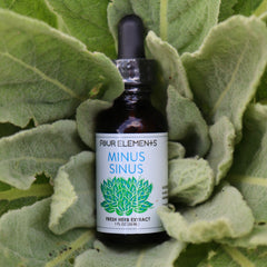 Minus Sinus Tincture - 1 oz - Four Elements Herbals