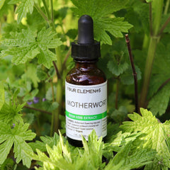 Motherwort Herb Tincture - 1 oz - Four Elements Herbals