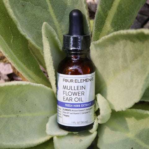 Mullein Flower Ear Oil - 1 oz - Four Elements Herbals