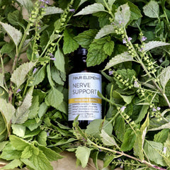 Nerve Support Herbal Tincture Blend - 1 oz