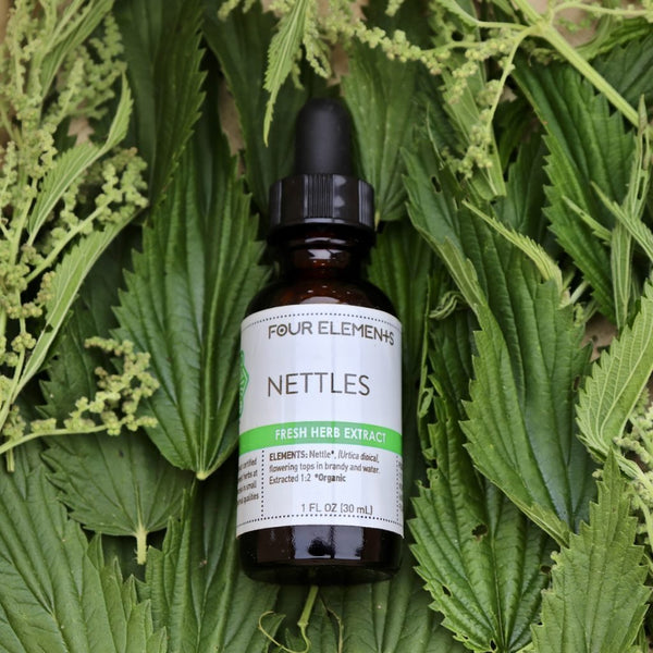 Nettles Tincture - 1 oz - Four Elements Herbals