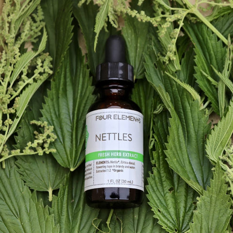 Nettles Tincture - 1 oz - Four Elements Herbals