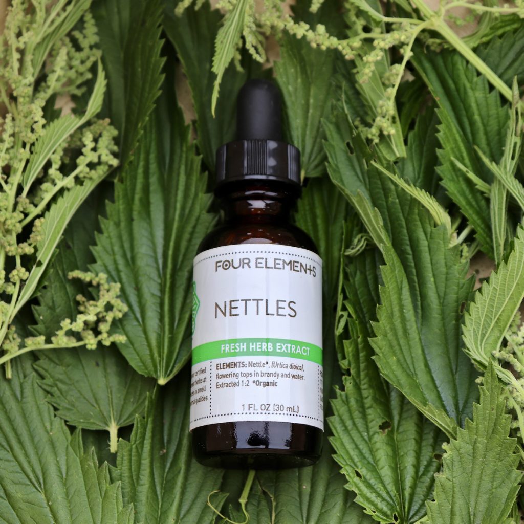 Nettle Leaf Tincture — Wise Mountain Botanicals