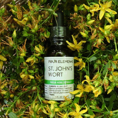 St. John's Wort Tincture - 1 oz - Four Elements Herbals