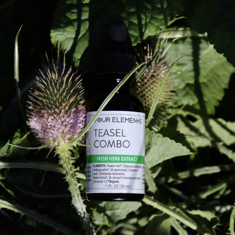Teasel Combo Tincture Blend - 1 oz - Four Elements Herbals