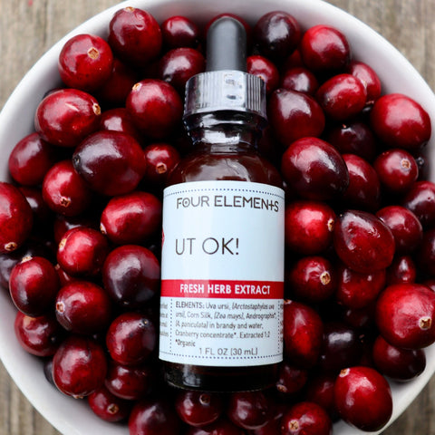 UT OK! Tincture Blend - 1 oz - Four Elements Herbals