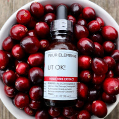 UT OK! Tincture Blend - 1 oz - Four Elements Herbals