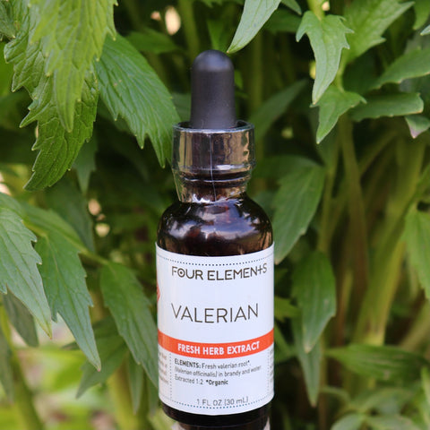 Valerian Herb Tincture - 1 oz - Four Elements Herbals