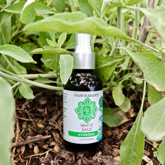 White Sage Hydrosol - 4 oz - Four Elements Herbals