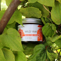 Wild Yam Balancing Cream - 2 oz